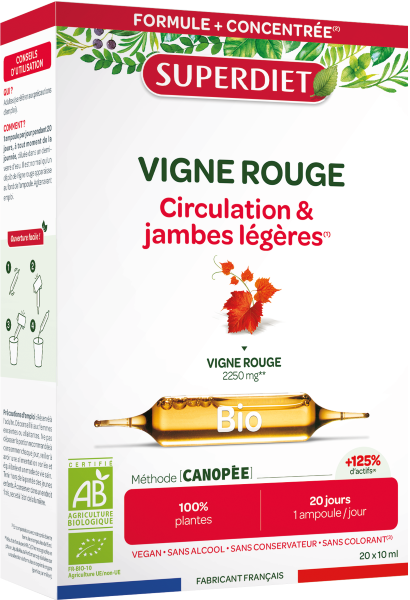 Vigne rouge bio - 1